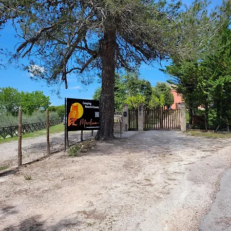 Merlino - Pur * Pergola